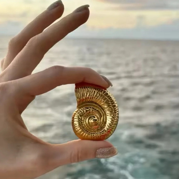 Zara Golden Silver Seashell Earrings - Picture 16 of 16